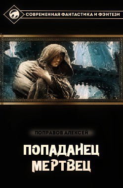 Серия книг Попаданец #3